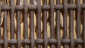 Галилео  Как рис становится белым?