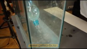 Галилео. Фудстилисты (ч.4)