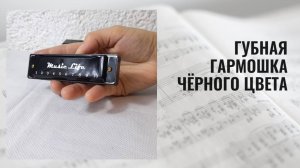Новая губная гармошка чёрного цвета