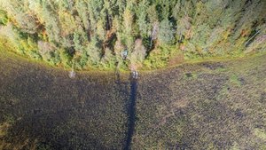 Отдых на озере. Охота на рябчика