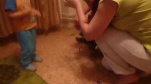 15.12.2013 Наряжаем елку.