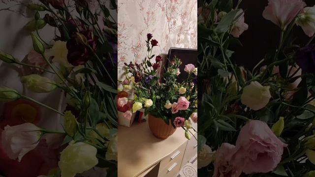 Цветеля)))