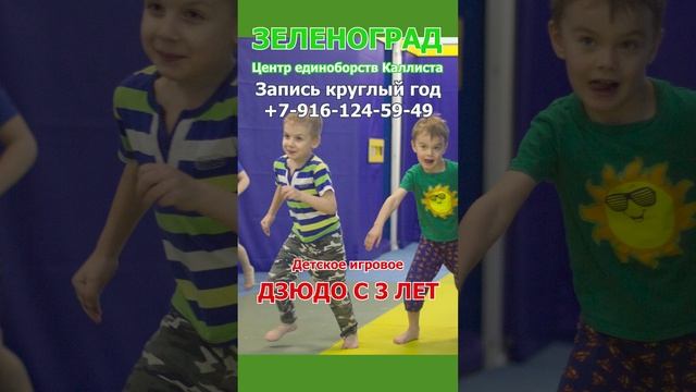 Зеленоград. Детское игровое дзюдо с 3 до 6 лет.