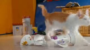 Социальный ролик. Ваза