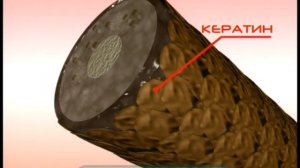 Галилео. Краска для волос