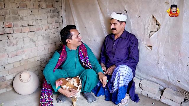 Faizoo Da Kukkar | Faizoo Kukkar Baz | Faizoo TV | (Official Video) смотреть онлайн