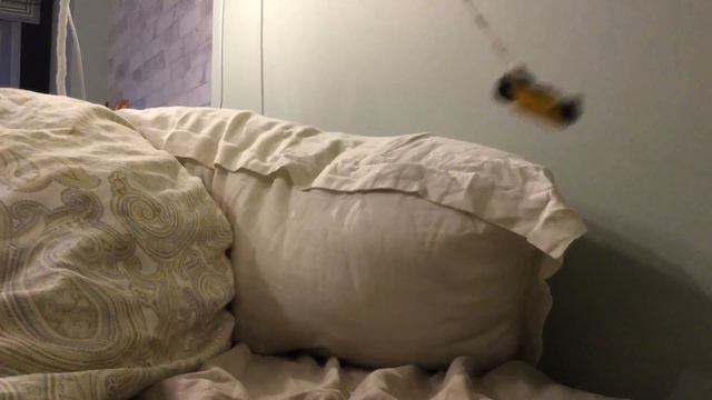 Юные Титаны вперёд.Кто такие Титаны.Лего. смотреть онлайн