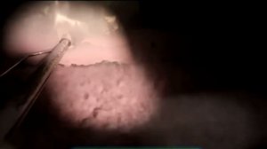 Галилео. Кисель