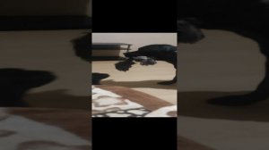 1000010334.mp4