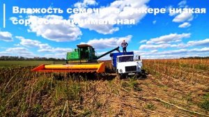 Легендарный комбайн ДОН-1500Б на уборке подсолнечника с жаткой Санмастер Нео