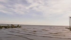 Галилео Как выращивают устриц?