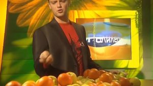 Галилео Почему апельсин состоит из долек?