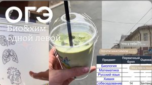СДАЮ ОГЭ 2024/ *очень веселые деньки* | Sofi Engeleva