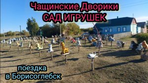 Поездка в Борисоглебск и увидел САД ИГРУШЕК.