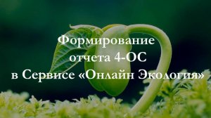 Формирование отчета 4-ОС в Сервисе "Онлайн Экология"
