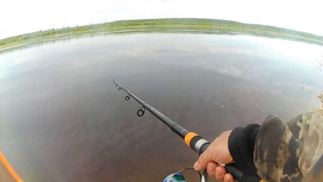 Рыбалка на красивой реке