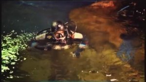 Галилео. Океанариум (часть 2)