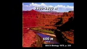 Загадка Гранд-Каньона