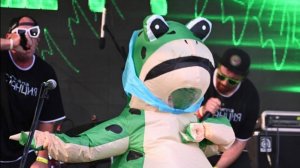 группа Станция-Жаба