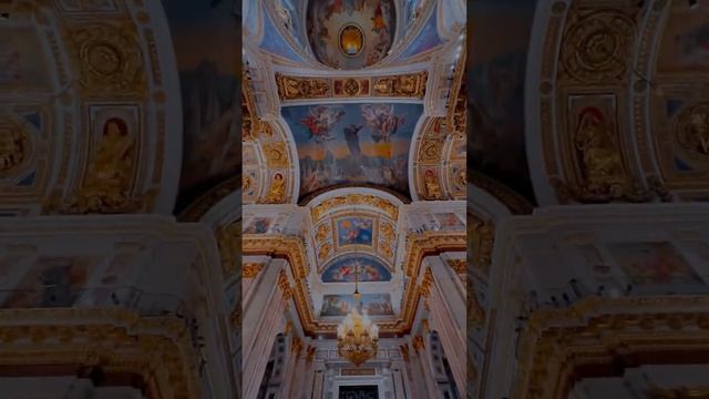 #youtubeshorts #санктпетербург #санктпитербург