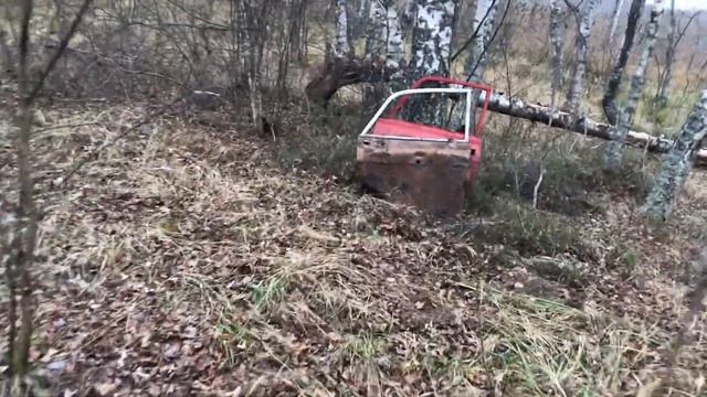 Стреляем из ружья по дверям автомобиля. #поканевседома