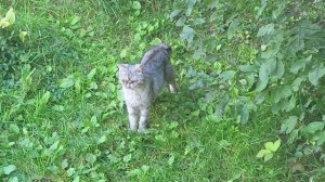 Варя в саду. Varya in the garden