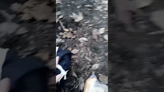 Снятие порчи проклятия через куклу Вуду