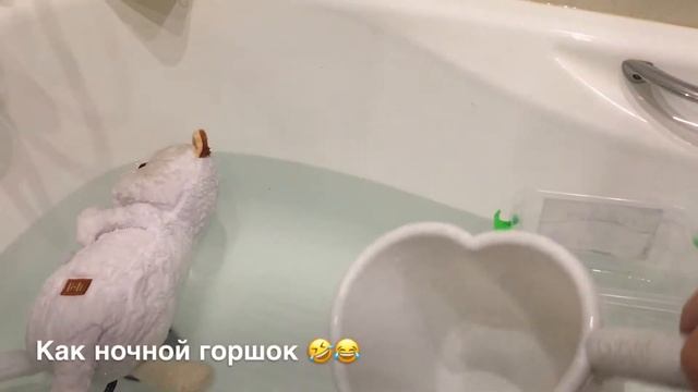 Влог. Часть 1/БАСИКИ И БИГЛИКИ КУПАЮТСЯ смотреть онлайн