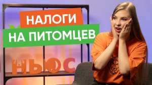 Введут ли налоги на питомцев и другие новости "Хвост Ньюс" #133