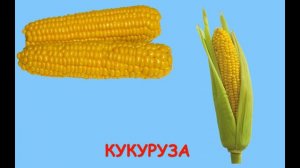 Учим овощи для детей 1-3 года, Первые слова для малыша в картинках, развивающее и обучающее видео