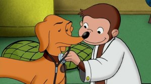 Doctor Monkey - Curious George | WildBrain