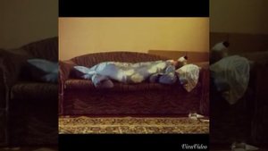 Как ложатся спать девушки смешинки.ru