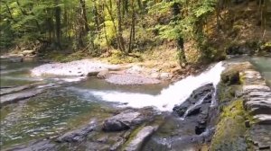 Самшитовые водопады