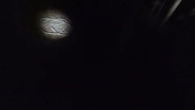 Ночной поиск  Человек в лесу  Деревня Тонеж смотреть онлайн