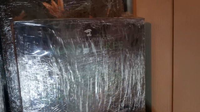 HUGE $6500+ LEGO HAUL! LEGO Star Wars, Ideas, Harry Potter & More! Massive LEGO Star Wars Haul! смотреть онлайн