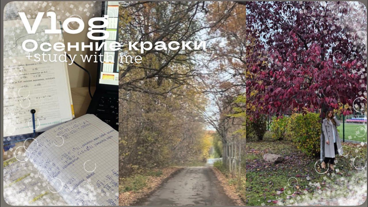 Vlog+study/ pictures of my life смотреть онлайн
