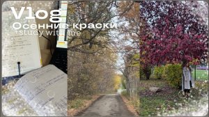 Vlog+study/ pictures of my life