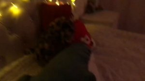 //Новогодний влог с реборном Евой!🎄✨\\