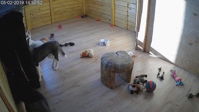 Яника и разноцветное счастье. Помощники смотреть онлайн