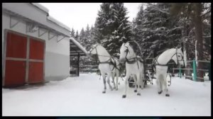 Галилео. Русская тройка