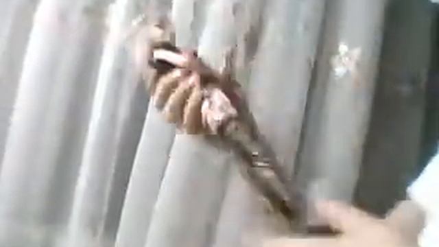 моя новая кукла эбби смотреть онлайн