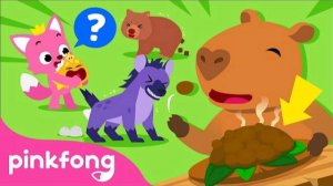 Fun Facts about Animal Poop | Learn with Pinkfong & Baby Shark | Pinkfong for Kids