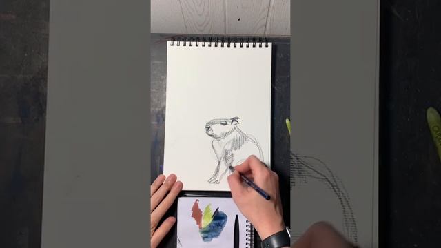 Что за любитель воды?) смотреть онлайн