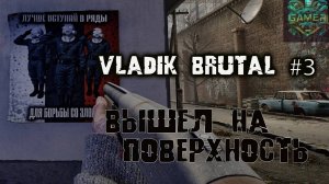 Вышел на поверхность - Vladik Brutal 3 - Boomer Gamer