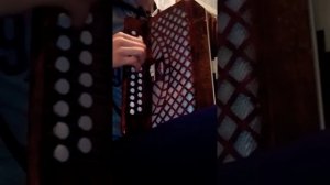 На гармони "Лесник гр. Король и Шут"