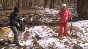 ПРОГУЛКИ В ГЕЛЕНДЖИКЕ 15