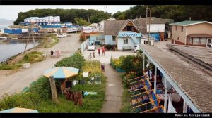 База отдыха "ДЕЛЬФИН".