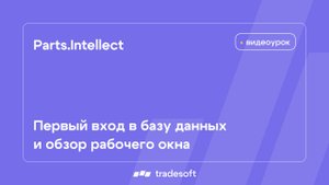 Parts.Intellect. Первый вход в базу данных и обзор рабочего окна