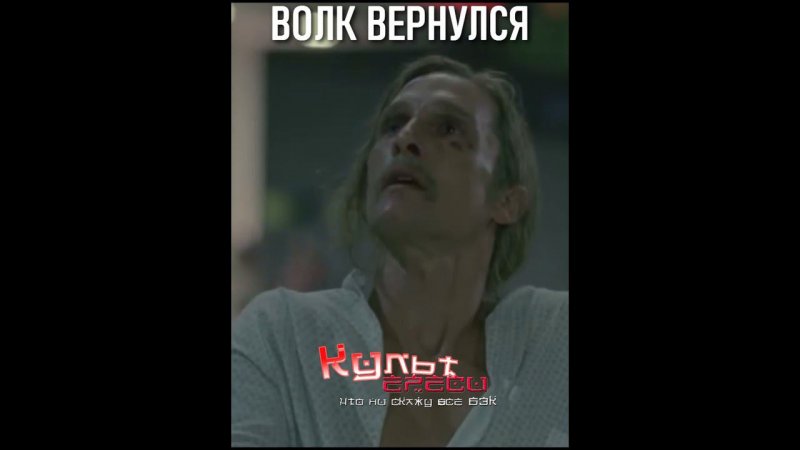 ВОЛК ВЕРНУЛСЯ #shorts