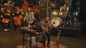 Roger Hodgson  -  The Logical Song